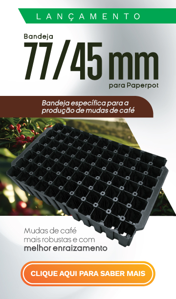 Lançamento Bandeja 77/45mm para paperpot