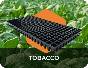 Tobacco
