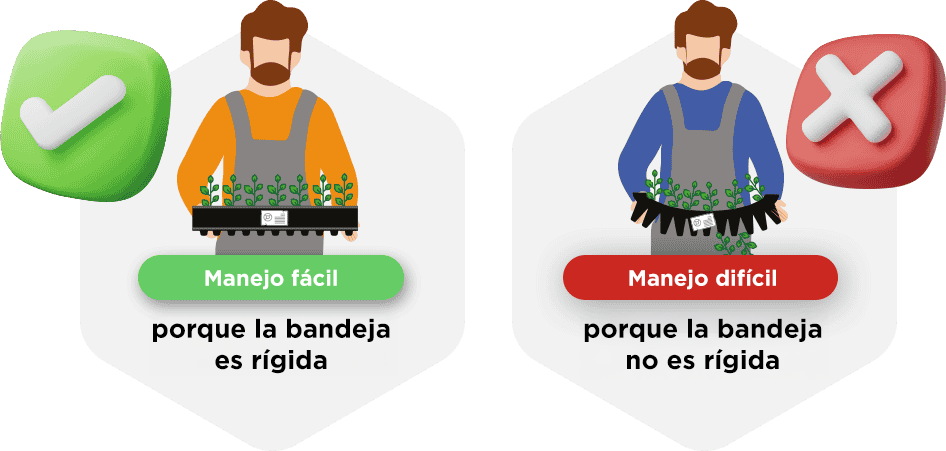 linha-eco-04.png